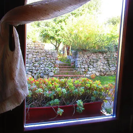 Il Mandorlo Di